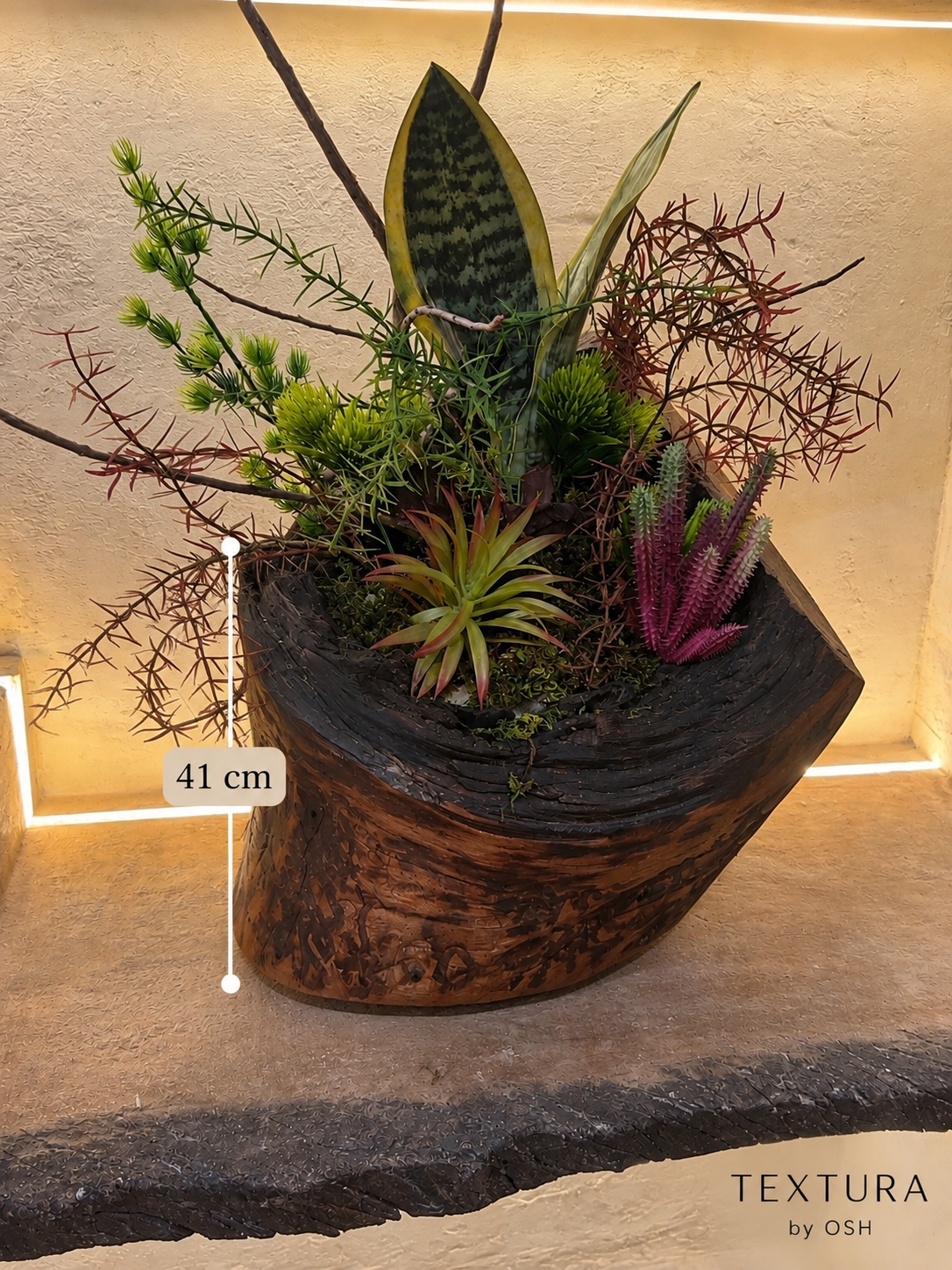 Jardin sauvage
