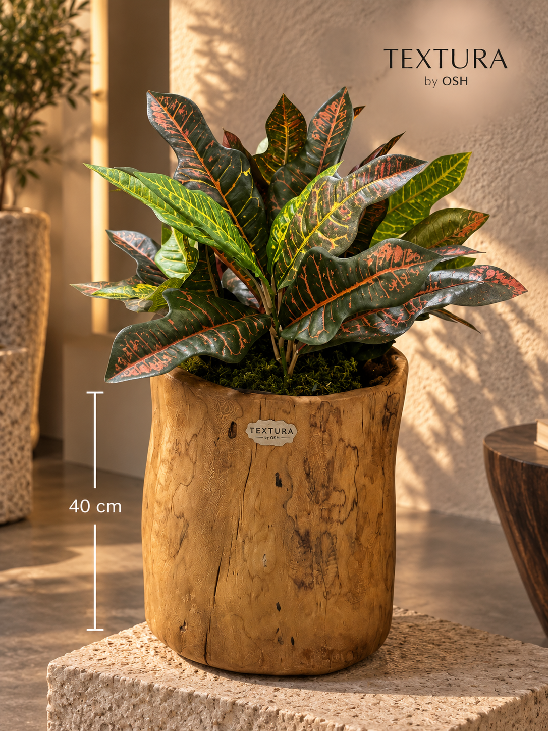 Nature sculptée